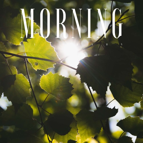 Morning