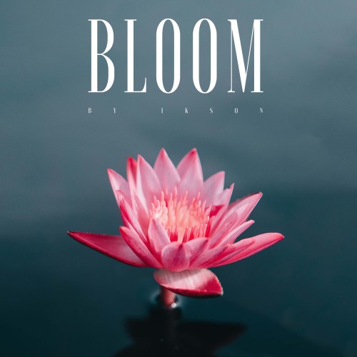 Bloom