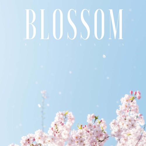 Blossom