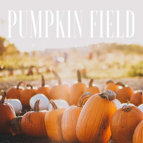 Pumpkin Field